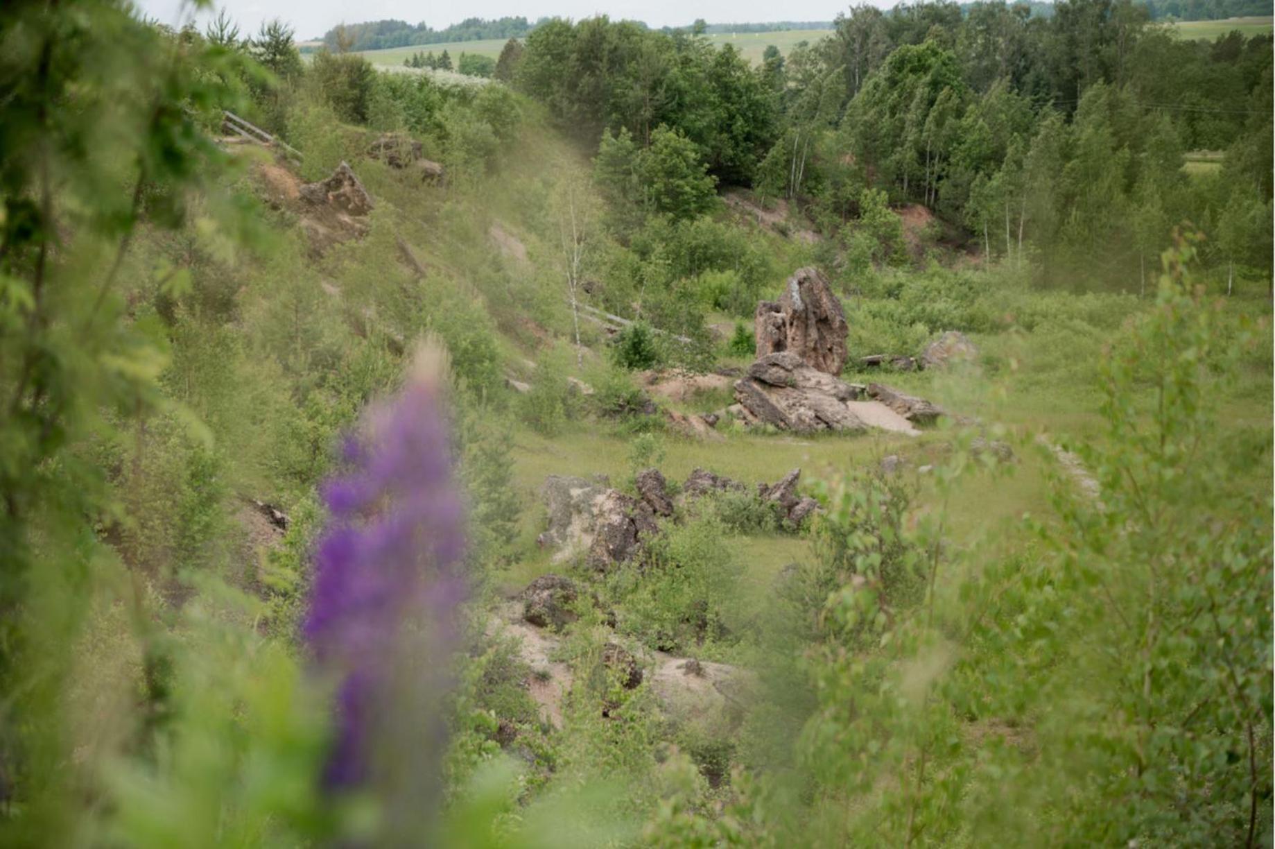 Rest Green Degesiai Екстер'єр фото
