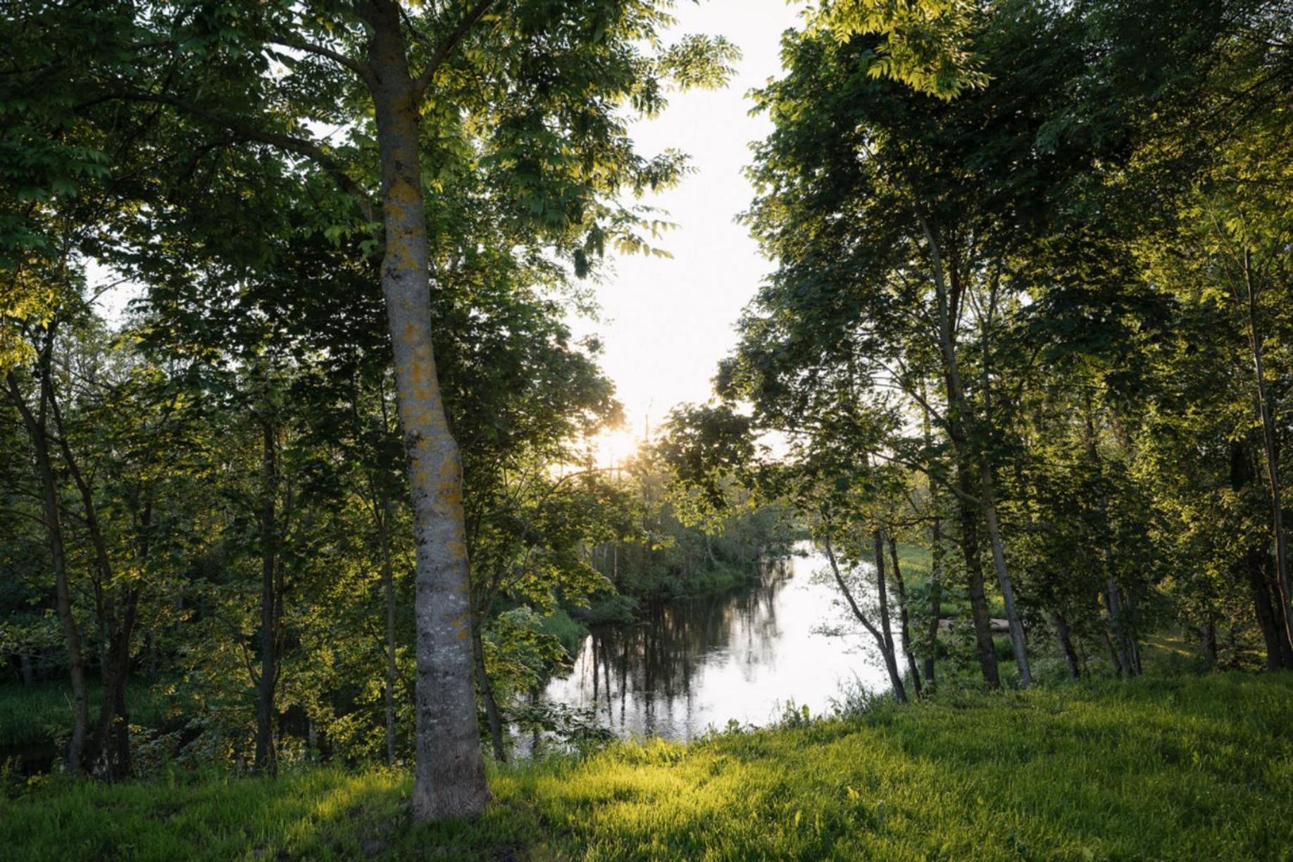 Rest Green Degesiai Екстер'єр фото